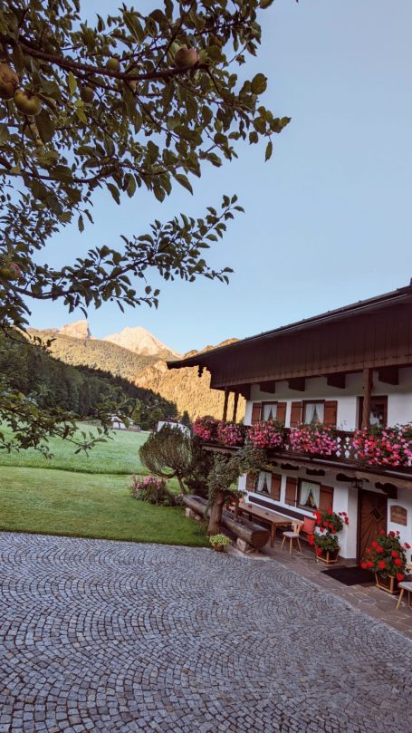 Traditionelles Haus mit Blumenkästen, umgeben von grüner Wiese und Bergen im Hintergrund.