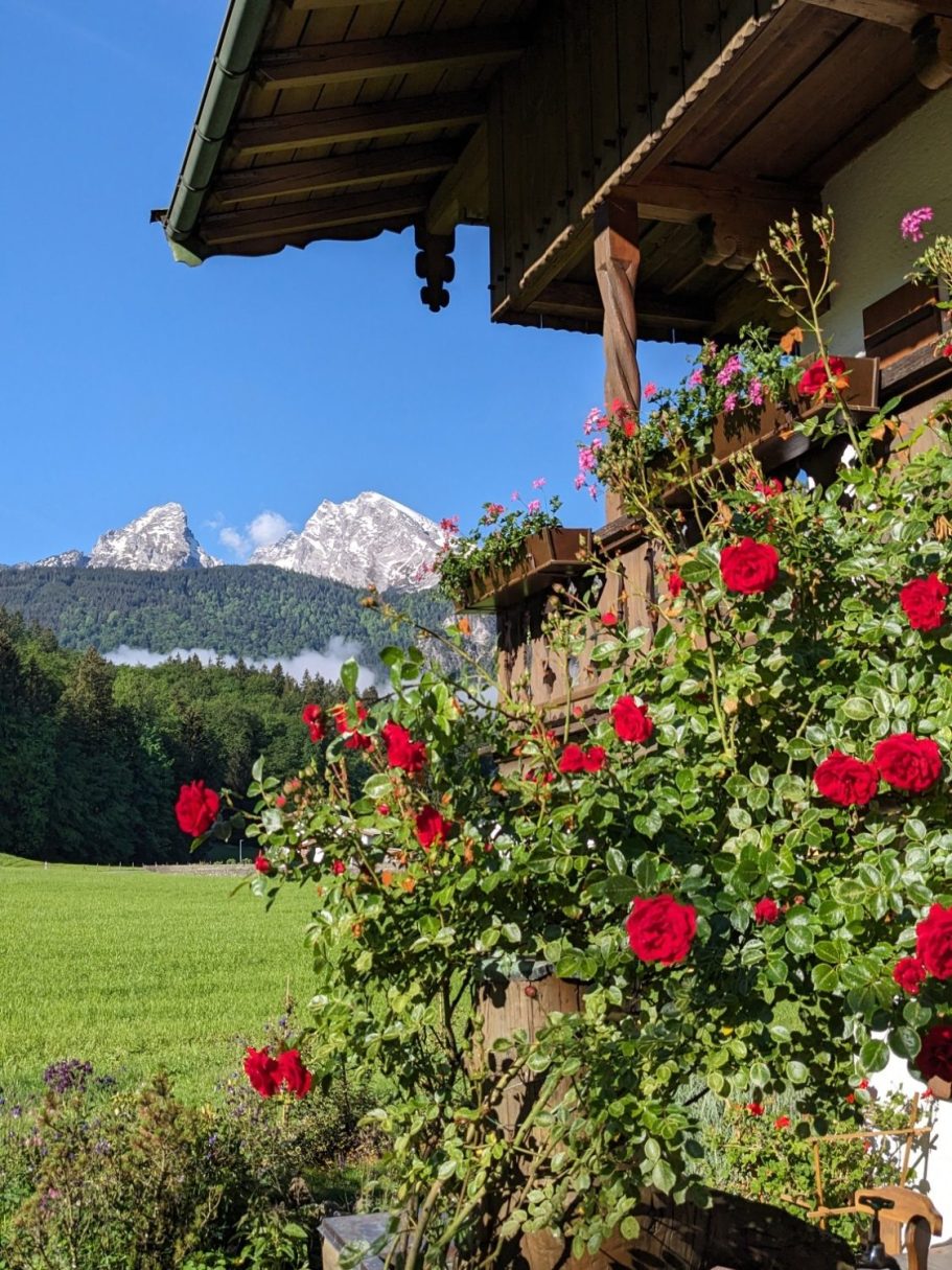 Balkon mit roten Blumen, Blick auf grüne Wiese und schneebedeckte Berge im Hintergrund.