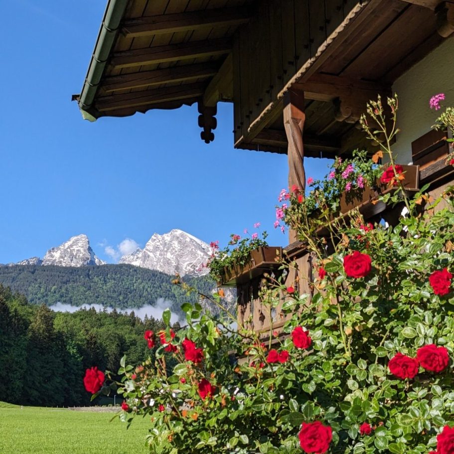 Blick auf ein traditionelles Haus mit blühenden Rosen und schneebedeckten Bergen im Hintergrund.
