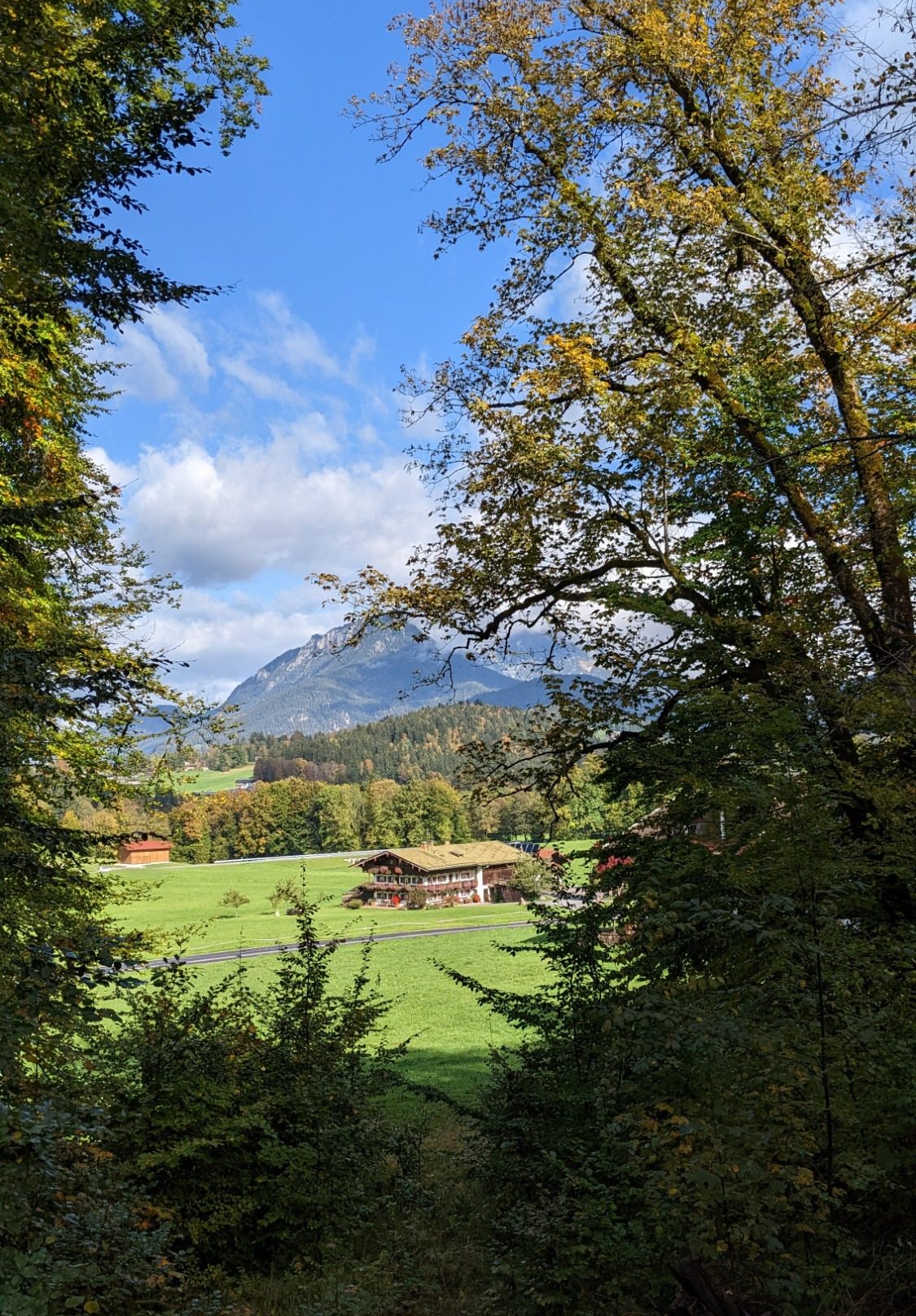Landschaft mit Bergen, Wäldern und grünen Wiesen, Bauernhäuser im Vordergrund.