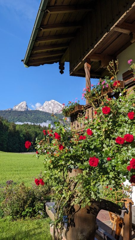 Balkon mit roten Blumen und Blick auf die Alpenlandschaft im Hintergrund.