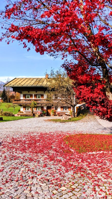 Herbstliche Landschaft mit rotem Laub, Steinweg und einem rustikalen Holzhaus im Hintergrund.
